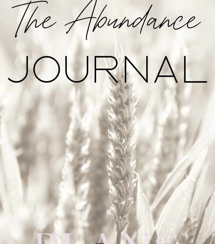 The Abundance Journal