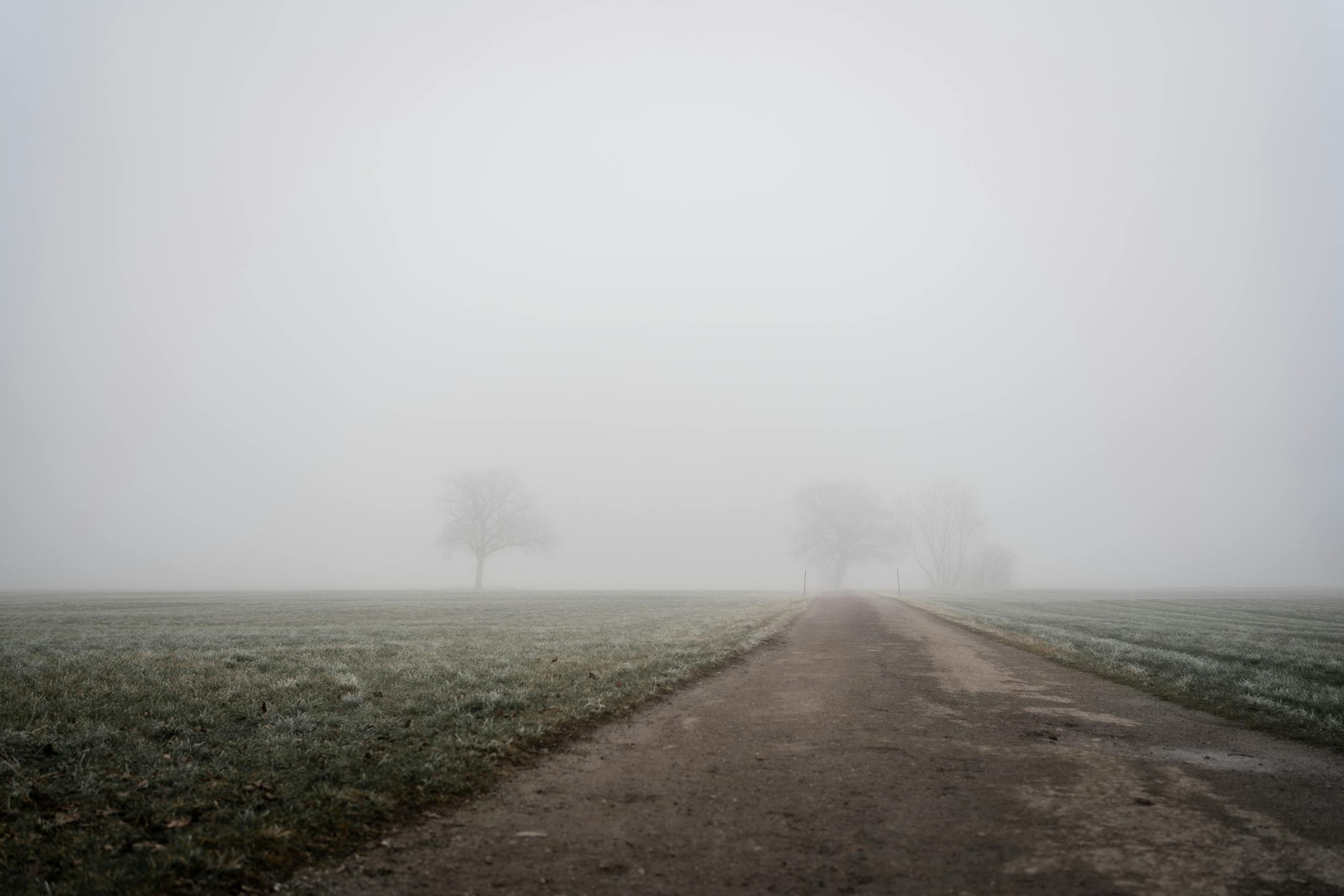 A misty rural landscape with fog covering a road in Bad Feilnbach, Bavaria, Germany.