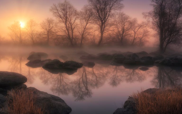 Gentle sunrise over a foggy lake with reflected trees and rocks creates a serene and tranquil scene.