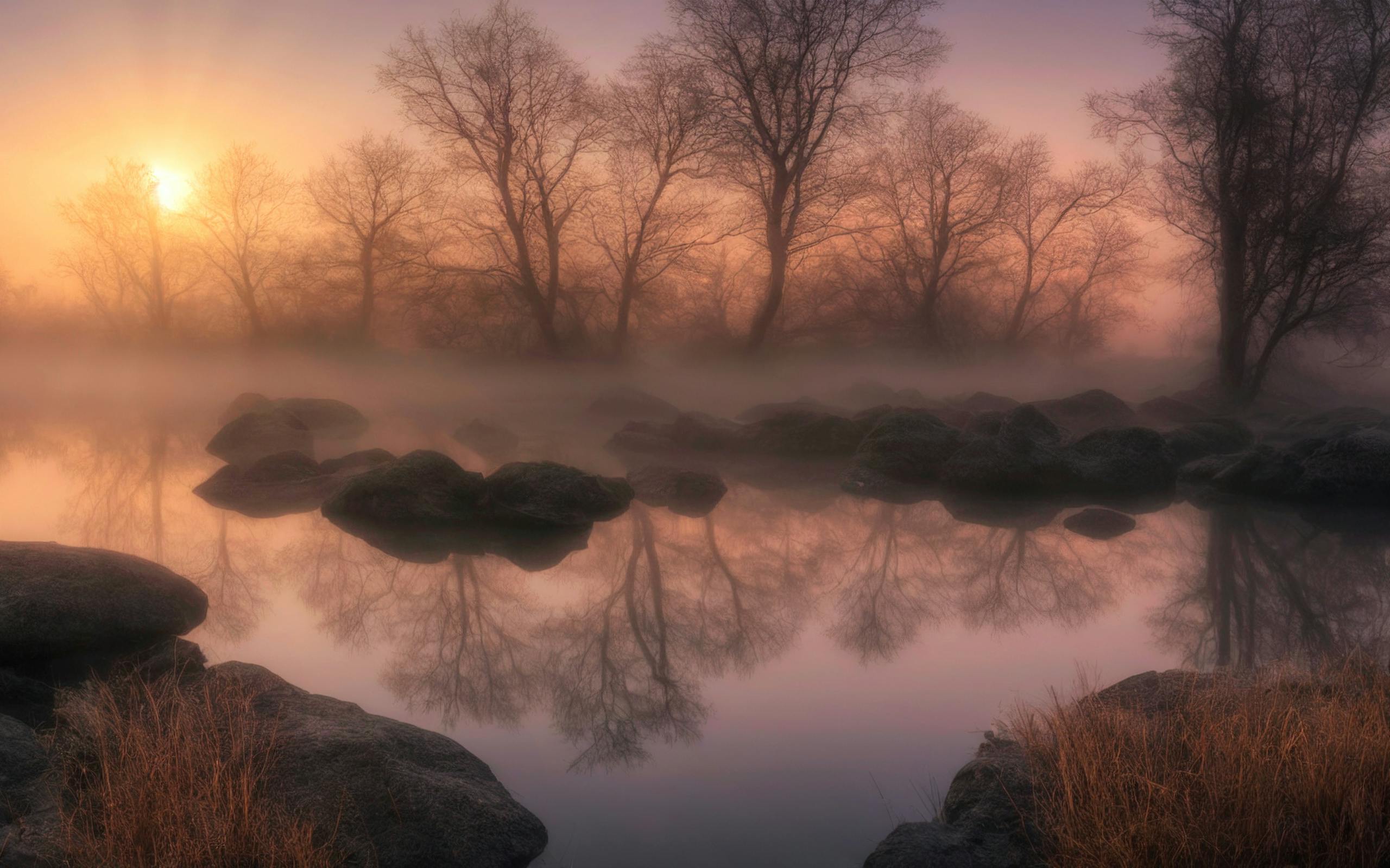 Gentle sunrise over a foggy lake with reflected trees and rocks creates a serene and tranquil scene.