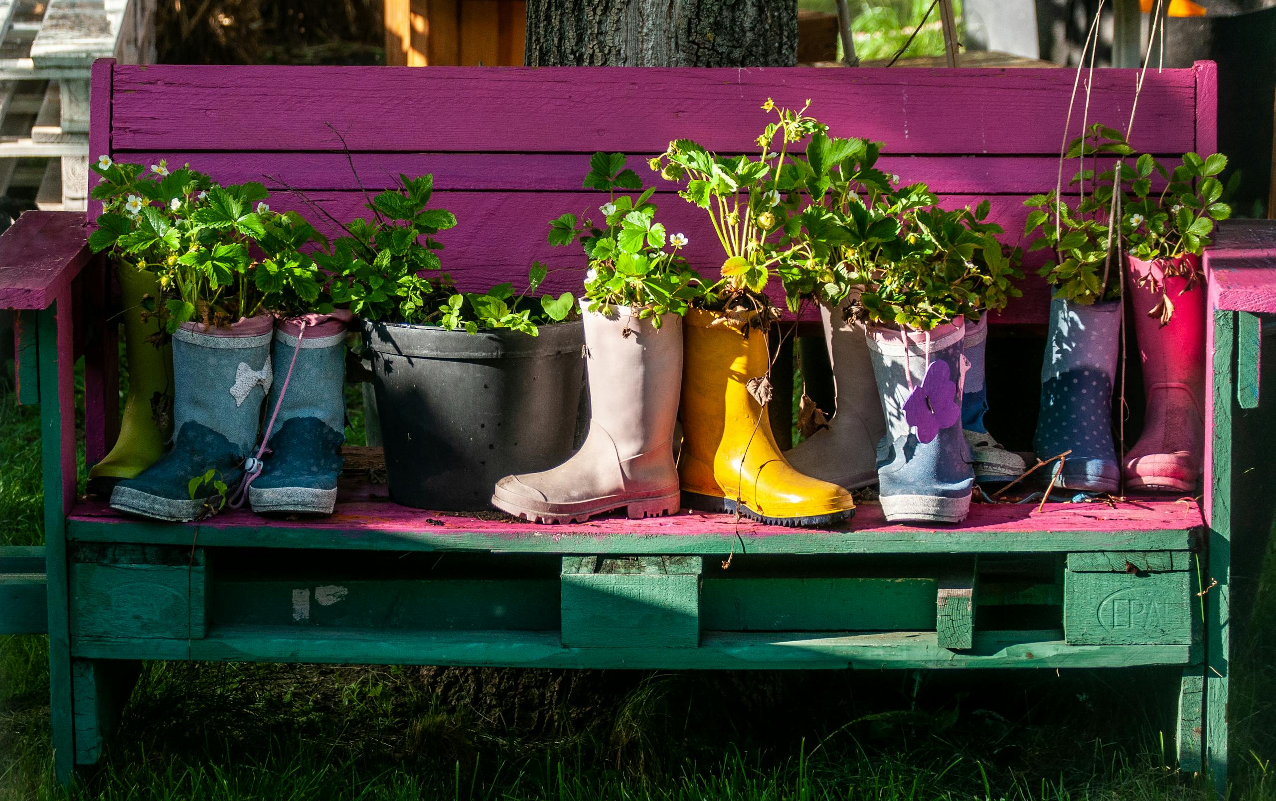 Vibrant rain boots repurposed as planters with lush greenery on a painted garden bench.