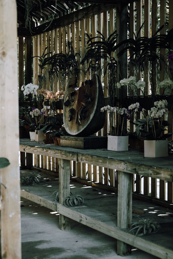 Wooden greenhouse interior showcasing various potted flowers and lush plants on display.
